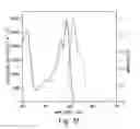 Fig. 12 - Fluorescent aromatic sensors and their methods of use