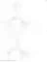 Fig. 99 - Organic compound, anthracene derivative, and light-emitting element, light-emitting device, and electronic device using anthracene derivative