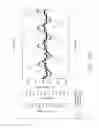 Fig. 33 - Method of conditioning a hybrid synthetic tubular structure to yield a functional human hybrid coronary bypass graft