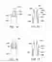 Fig. 10 - Securable cannula and method