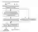 Fig. 01 - RELIABILITY IN DETERMINATION OF CLINICAL STATE OF A SUBJECT