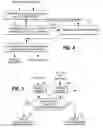Fig. 04 - RELIABILITY IN DETERMINATION OF CLINICAL STATE OF A SUBJECT