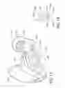 Fig. 10 - Automated infant massager