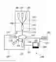 Fig. 01 - Spatially resolved oxymetry