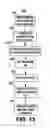 Fig. 14 - Method and apparatus for continuous pulse contour cardiac output