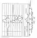 Fig. 11 - Detection and classification of neuromuscular late wave activity for the assessment of neuromuscular function