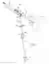 Fig. 02 - Tissue harvesting