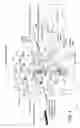 Fig. 07 - Catheter with imaging capability acts as guidewire for cannula tools