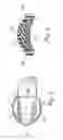 Fig. 03 - Ankle foot orthotic