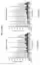 Fig. 18 - Biodegradable Triblock Copolymers for Use in Acoustically Mediated Intracellular Drug Delivery in vivo