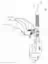 Fig. 02 - Insufflation of Body Cavities