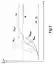 Fig. 08 - Method and device for irrigation of body cavities