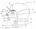 Fig. 01 - Controllable release nasal system