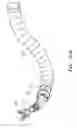 Fig. 47 - SUPPORT STRUCTURE FOR ROBOTIC MEDICAL INSTRUMENT