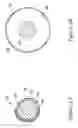 Fig. 05 - Perfusion device