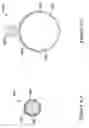 Fig. 11 - Perfusion device