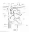 Fig. 06 - Expandable trans-septal sheath