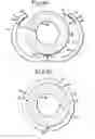 Fig. 05 - Male incontinency device