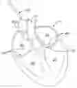 Fig. 01 - DELIVERY DEVICES AND METHODS FOR HEART VALVE REPAIR