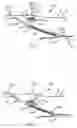 Fig. 03 - System and method for percutaneous delivery of electrical stimulation to a target body tissue