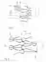 Fig. 04 - STENT HAVING RADIALLY EXPANDABLE MAIN BODY