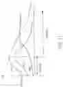 Fig. 49 - SYSTEMS AND METHODS OF PROMOTING ENDOTHELIALIZATION OF A HYBRID CAROTID BYPASS VASCULAR GRAFT IN A MAMMAL