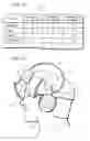 Fig. 14 - Guiding device and guiding method