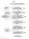 Fig. 04 - IMAGE DIAGNOSIS SUPPORTING APPARATUS AND SYSTEM