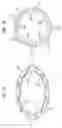 Fig. 08 - Displacement measuring apparatus and load measuring apparatus of rotating member