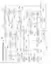 Fig. 06 - VIRTUAL CEMETERY WITH CONSECRATION