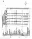 Fig. 09 - Future value analytics