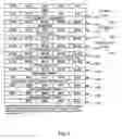 Fig. 11 - Future value analytics