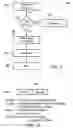 Fig. 07 - Apparatus and methods for differentiating trading orders