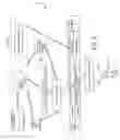 Fig. 04 - Transparently securing data for transmission on financial networks
