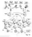 Fig. 12 - Transparently securing data for transmission on financial networks