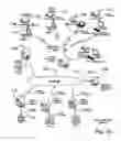 Fig. 18 - Transparently securing data for transmission on financial networks