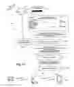 Fig. 19 - Transparently securing data for transmission on financial networks