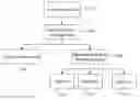 Fig. 01 - Method and process for facilitating donations via debt instruments