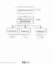 Fig. 02 - Method and process for facilitating donations via debt instruments