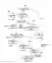 Fig. 08 - METHOD AND APPARATUS FOR DEFINING AN ARTIFICIAL BRAIN VIA A PLURALITY OF CONCEPT NODES CONNECTED TOGETHER THROUGH PREDETERMINED RELATIONSHIPS