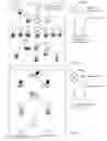 Fig. 11 - Human Level Artificial Intelligence Software Application for Machine & Computer Based Program Function