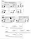 Fig. 13 - Human Level Artificial Intelligence Software Application for Machine & Computer Based Program Function