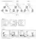 Fig. 08 - Human Artificial Intelligence Software Application for Machine & Computer Based Program Function