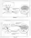 Fig. 21 - Human Artificial Intelligence Software Application for Machine & Computer Based Program Function