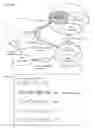 Fig. 23 - Human Artificial Intelligence Software Application for Machine & Computer Based Program Function