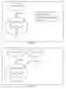 Fig. 25 - Human Artificial Intelligence Software Application for Machine & Computer Based Program Function