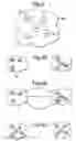 Fig. 05 - Method for sharing groups of objects