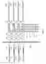 Fig. 12 - Method of forming high density planar magnetic domain wall memory