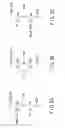 Fig. 05 - RANDOM NUMBER GENERATOR