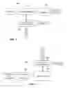 Fig. 02 - Systems, methods, apparatus and computer program products for providing packet-level FEC with higher throughput using user datagram protocol (UDP)